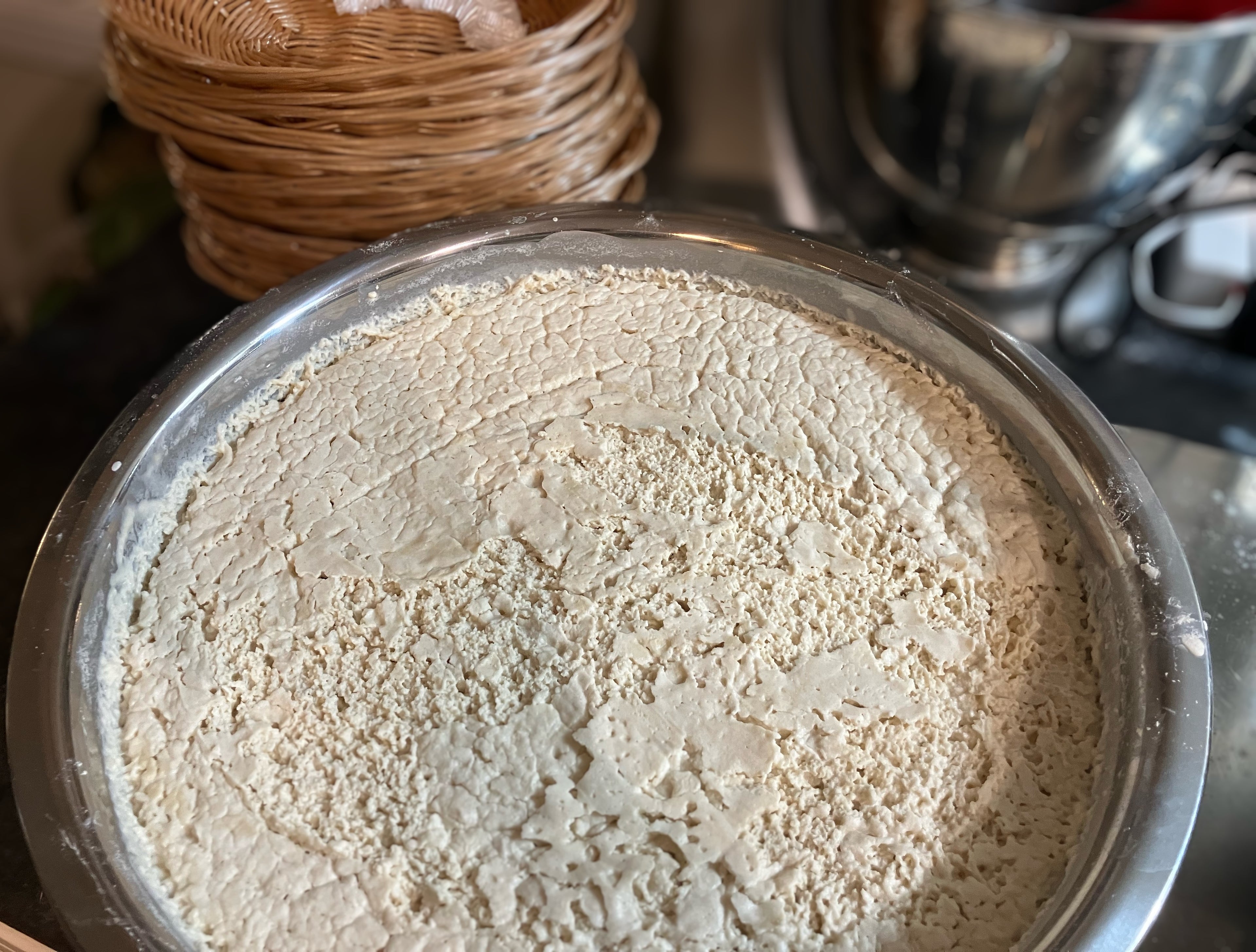 Sourdough Starter